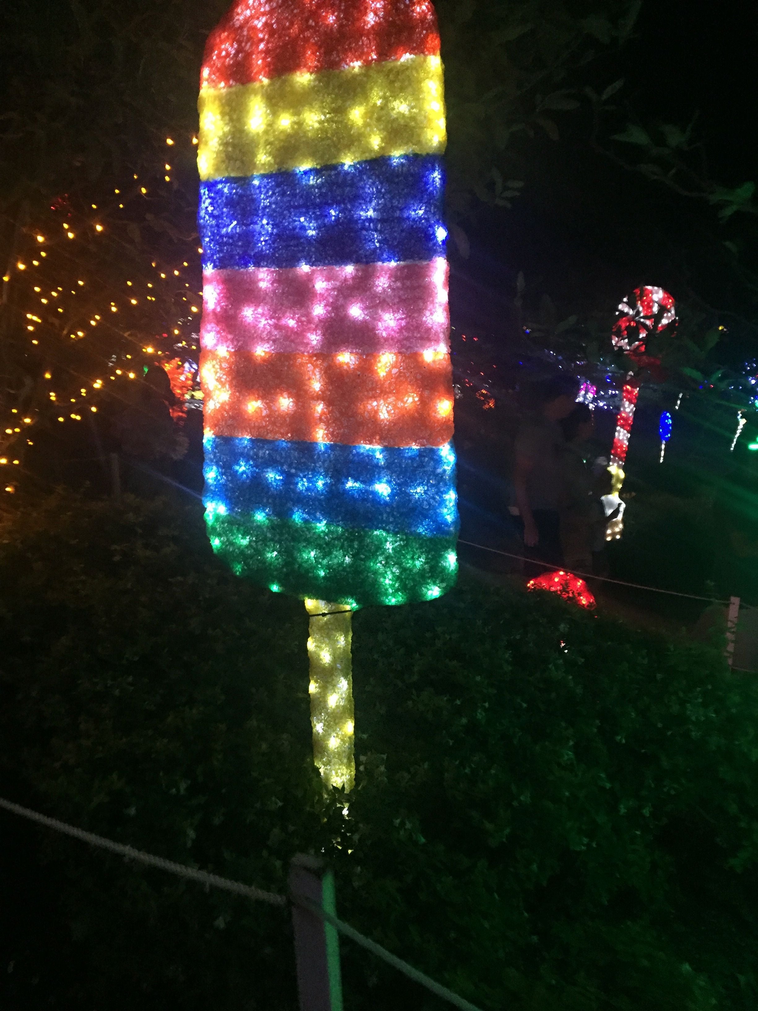Hunter Valley Christmas Lights Spectacular Image -5b3abbd111a82